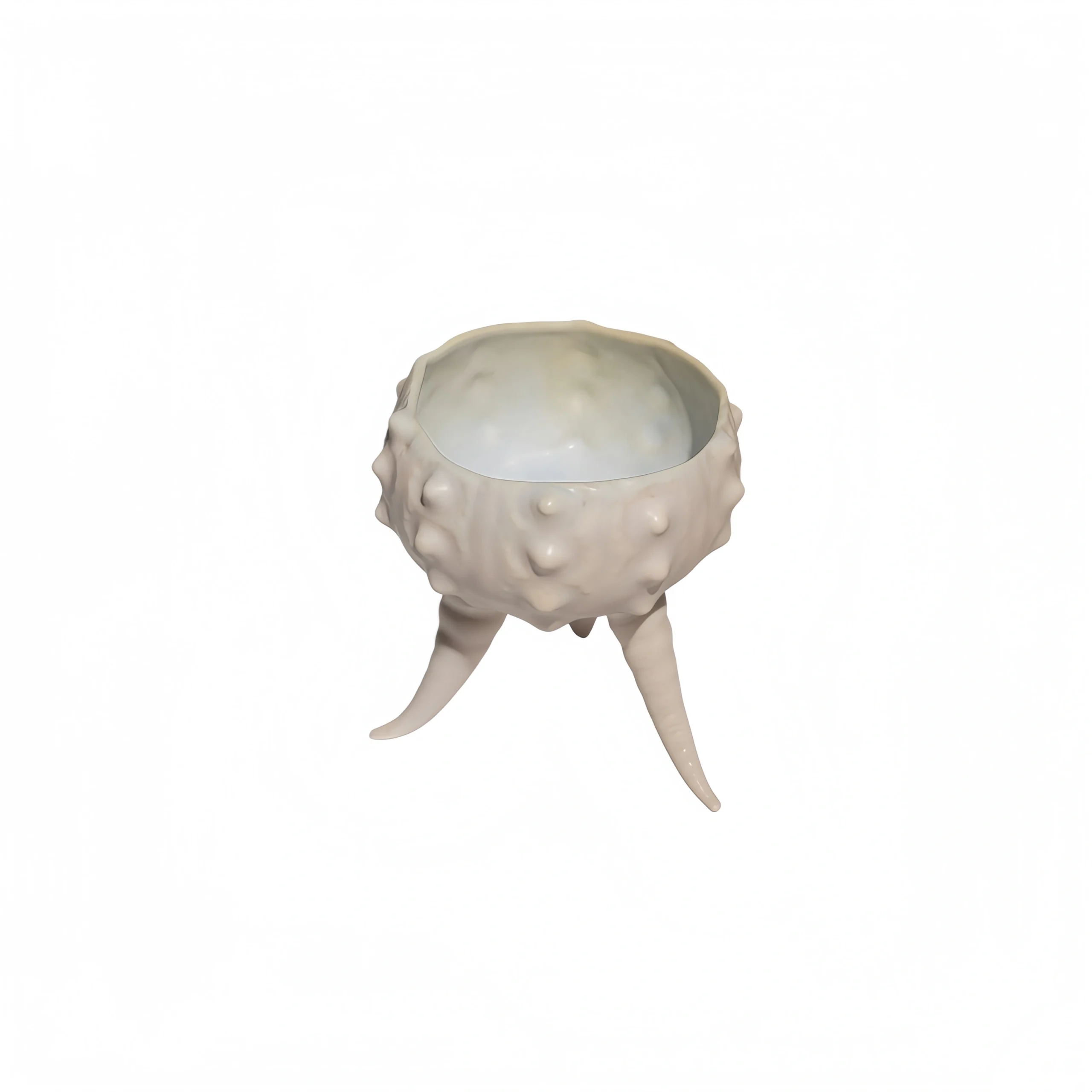 Pink-White Sea Urchin Cup