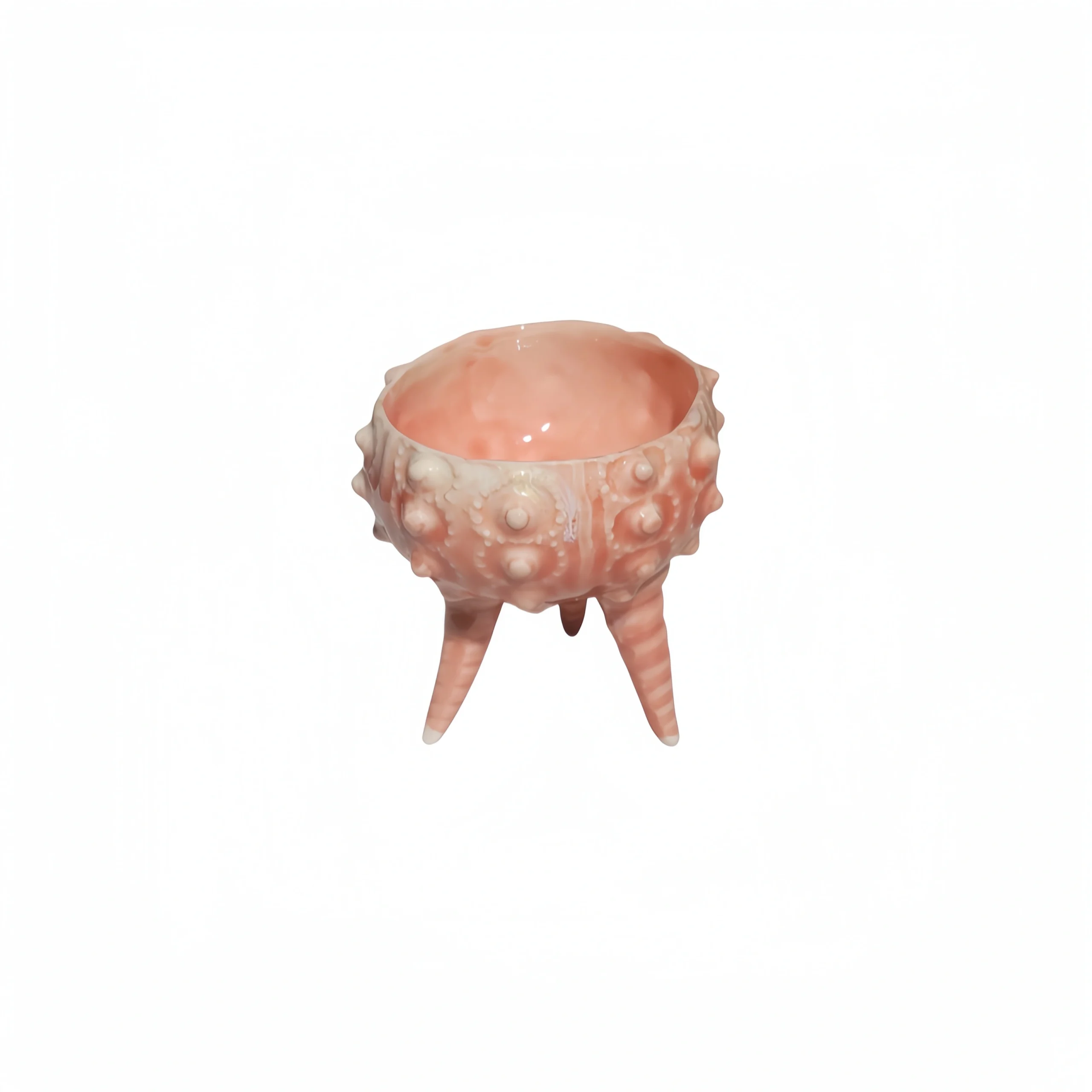 Pink Sea Urchin Cup