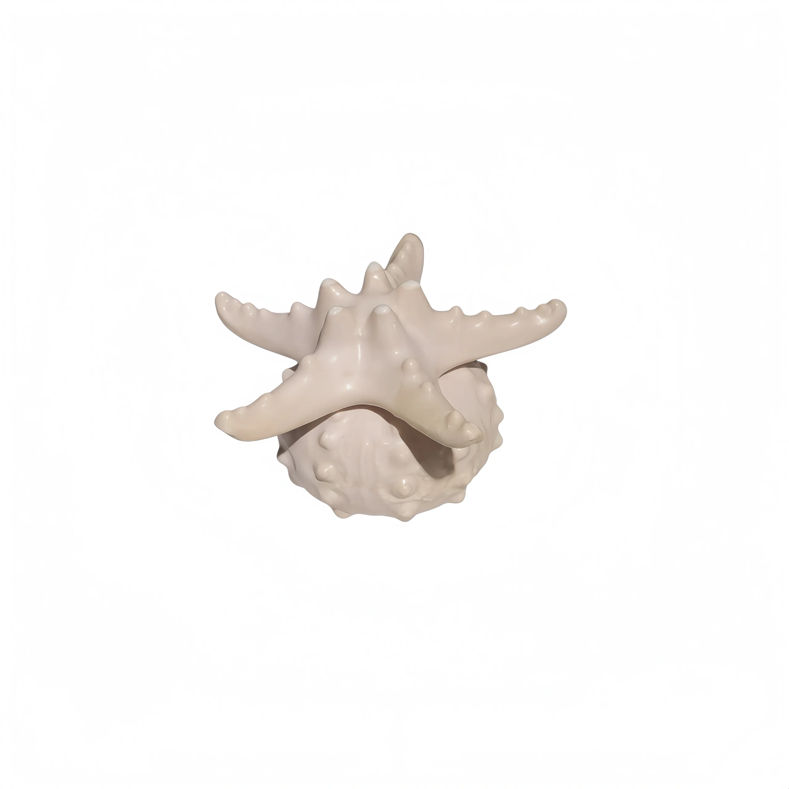 Off-White Sea Urchin Seafood Container