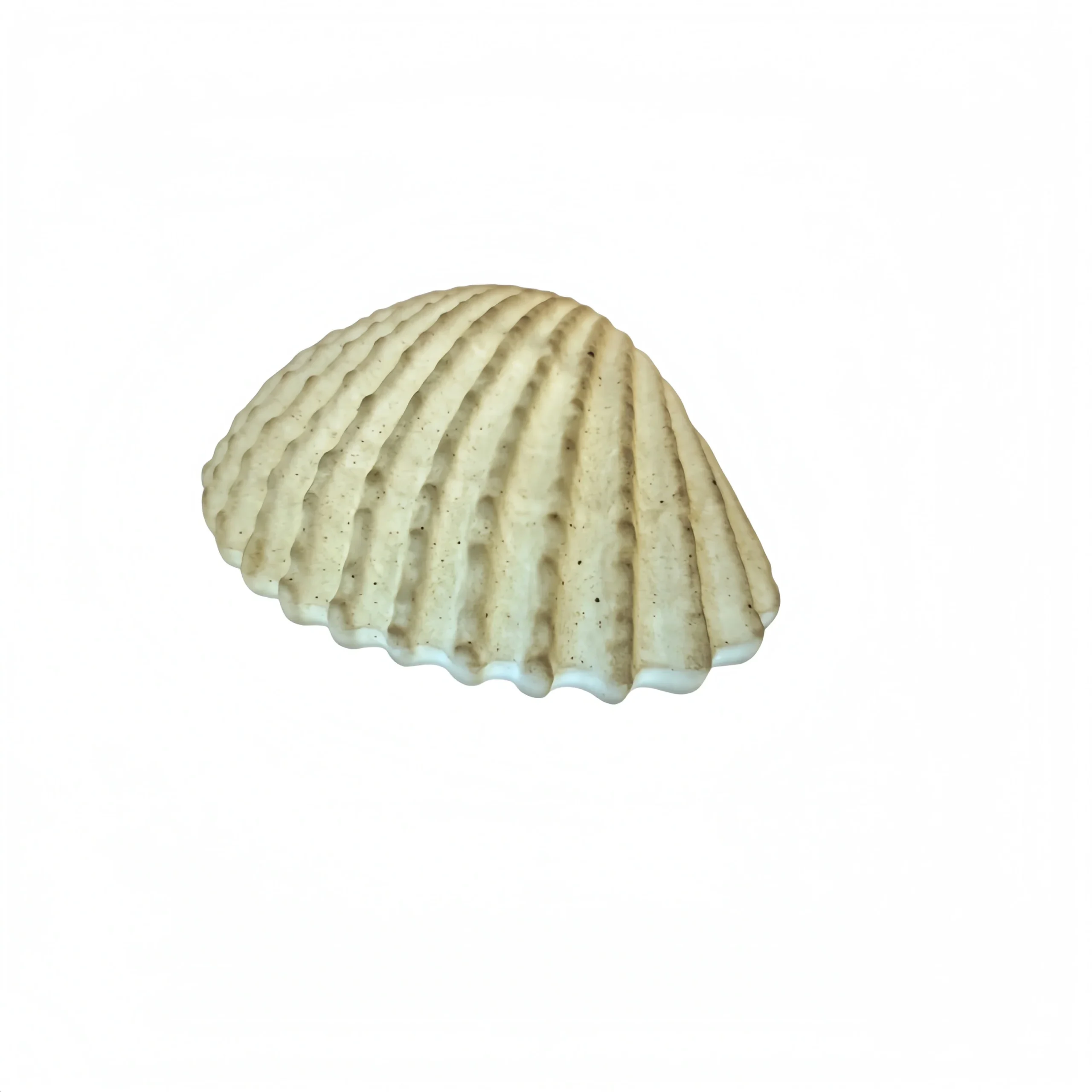 Ocean Series – Shell Ceramic Lamp