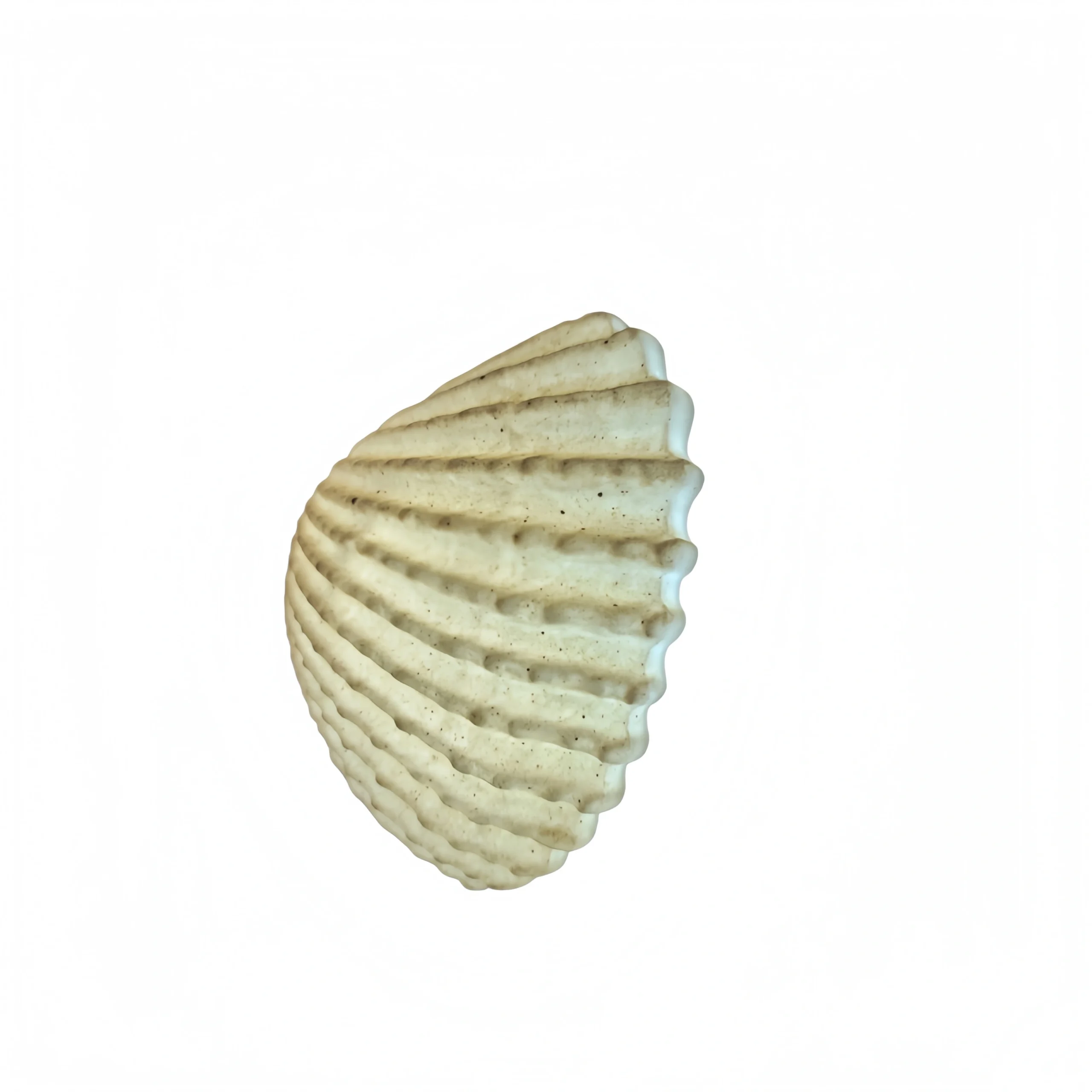 Ocean Series – Shell Ceramic Lamp