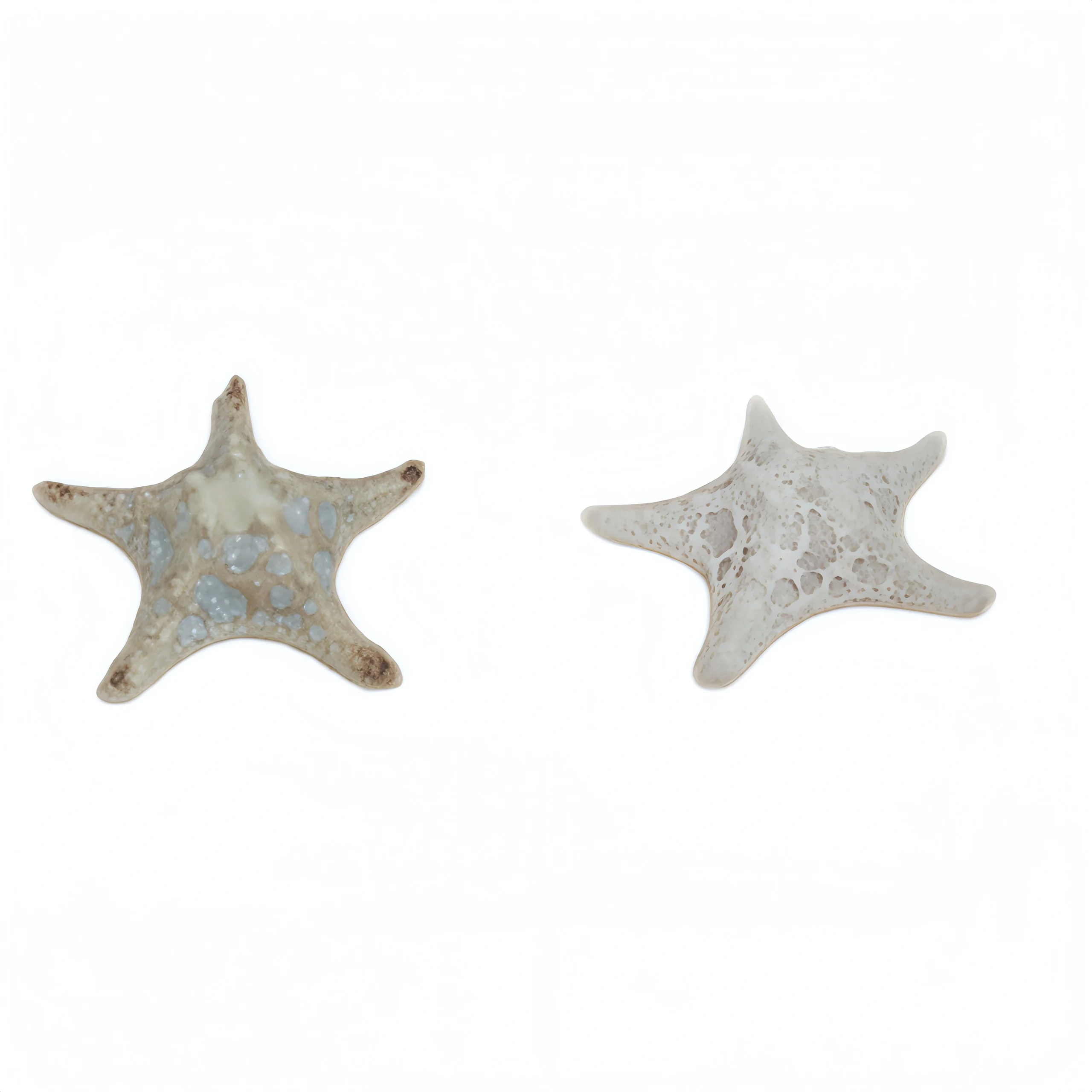 Ocean Series – Starfish Ceramic Lamp