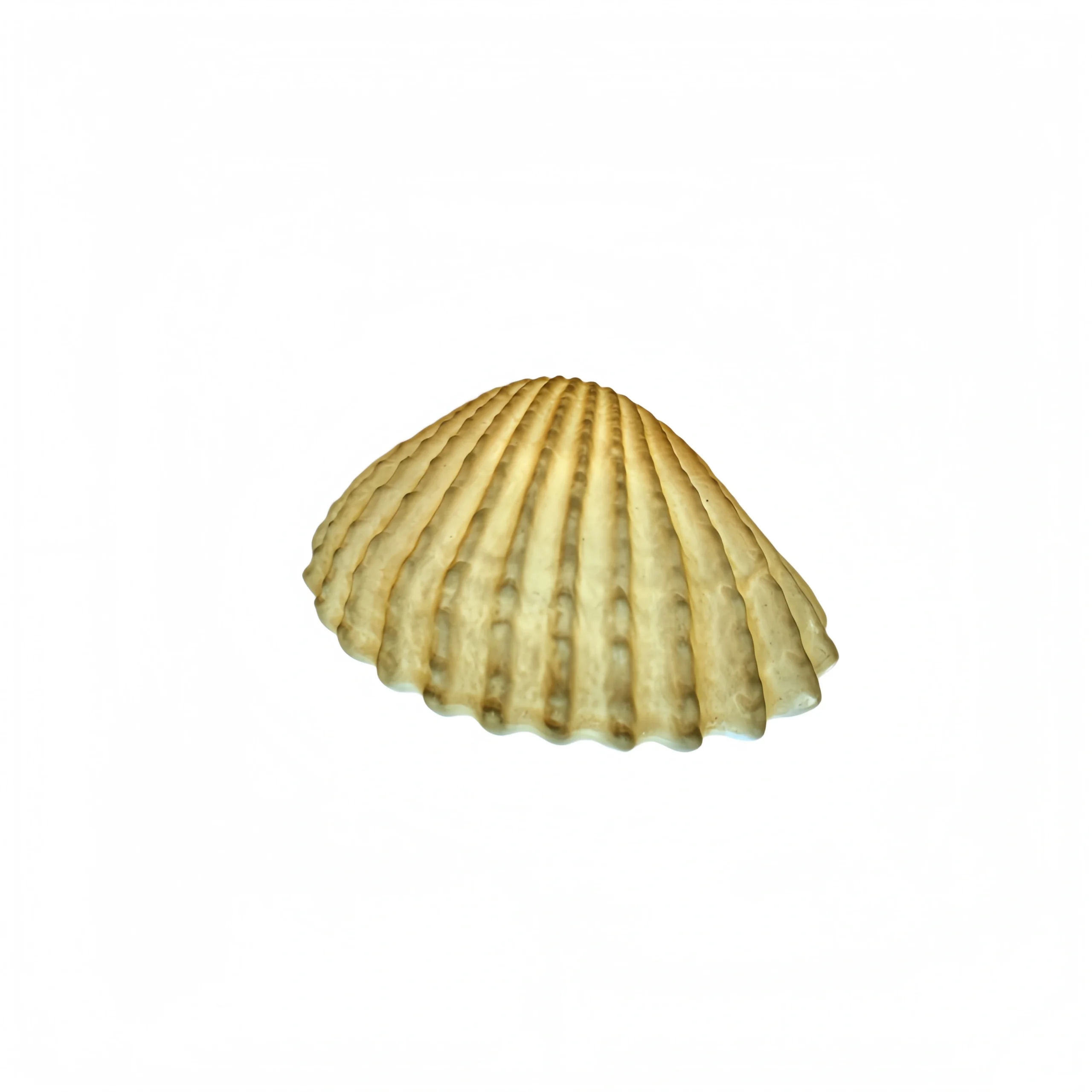 Ocean Series – Large Shell Ceramic Lamp