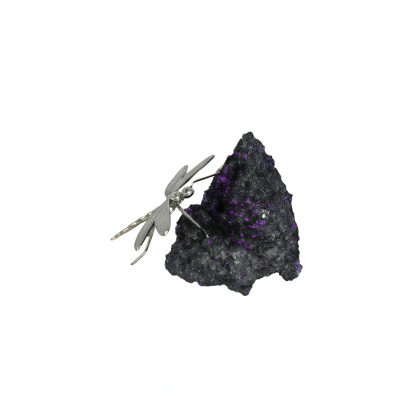 Natural Ore and Dragonfly with Crystal